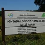 Igneada Longoz Ormanlari Kamp Alani