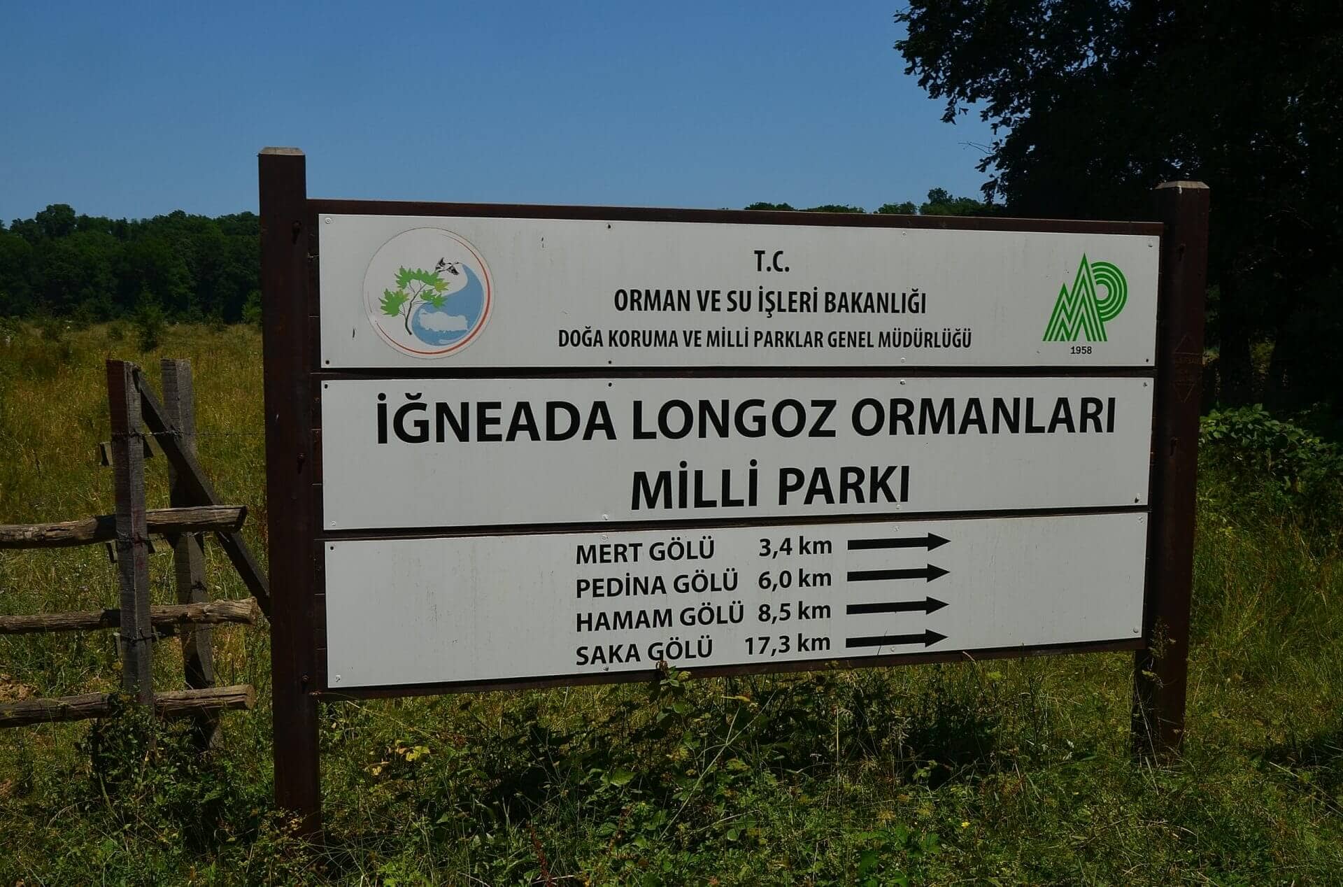 İğneada Longoz Ormanları Kamp Alanı