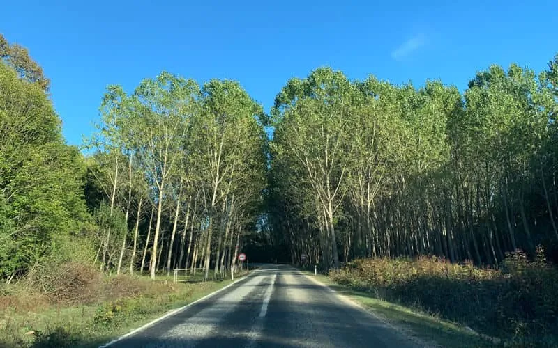 İğneada Nerede Ulaşım