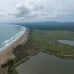İğneada Longoz Parkı