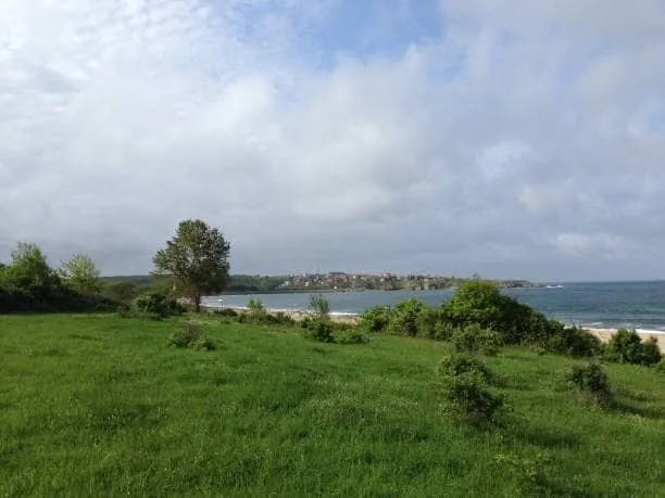 rezovo