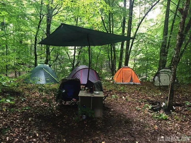 İğneada'da Kamp Yapmanın İpuçları ve Tavsiyeleri 2025 1 İğneada'da Kamp