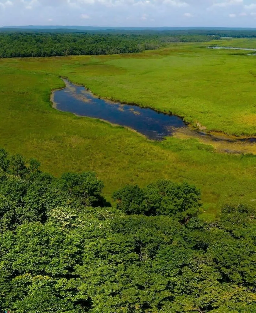 İğneada Kuş Gözlem Kulesi 3