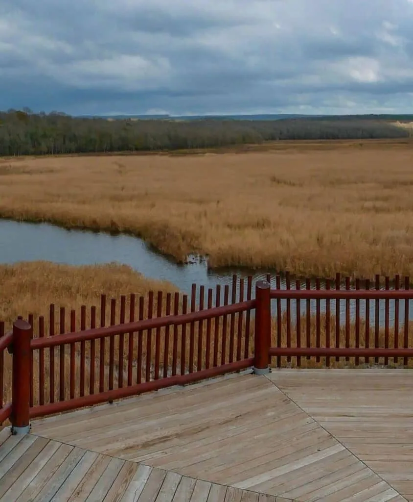 İğneada Kuş Gözlem Kulesi 2