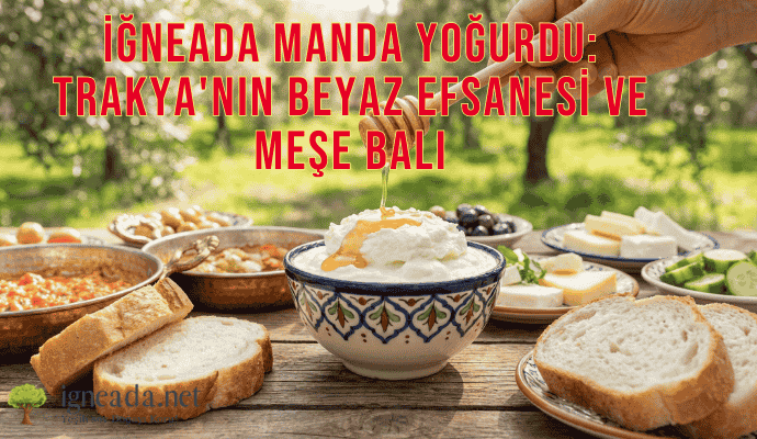 İğneada Manda Yoğurdu: Trakya’nın Beyaz Efsanesi ve Meşe Balı